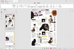 养猫攻略大全+爱猫养护实用手册